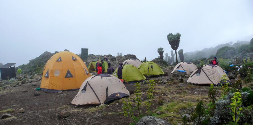 Serengeti-Clarity-kilimanjaro mountain