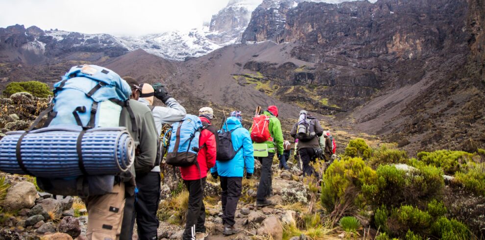 Serengeti-Clarity-kilimanjaro mountain