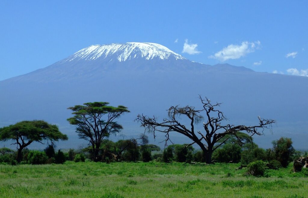 mount kilimanjaro, mountain, safari