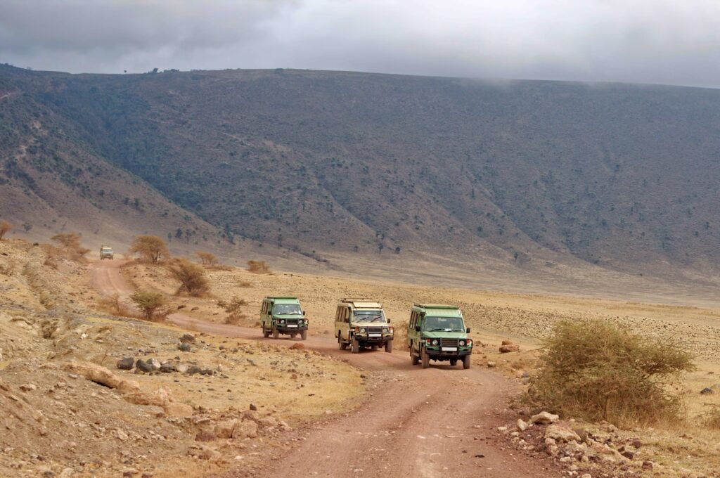 Ngorongoro game drive