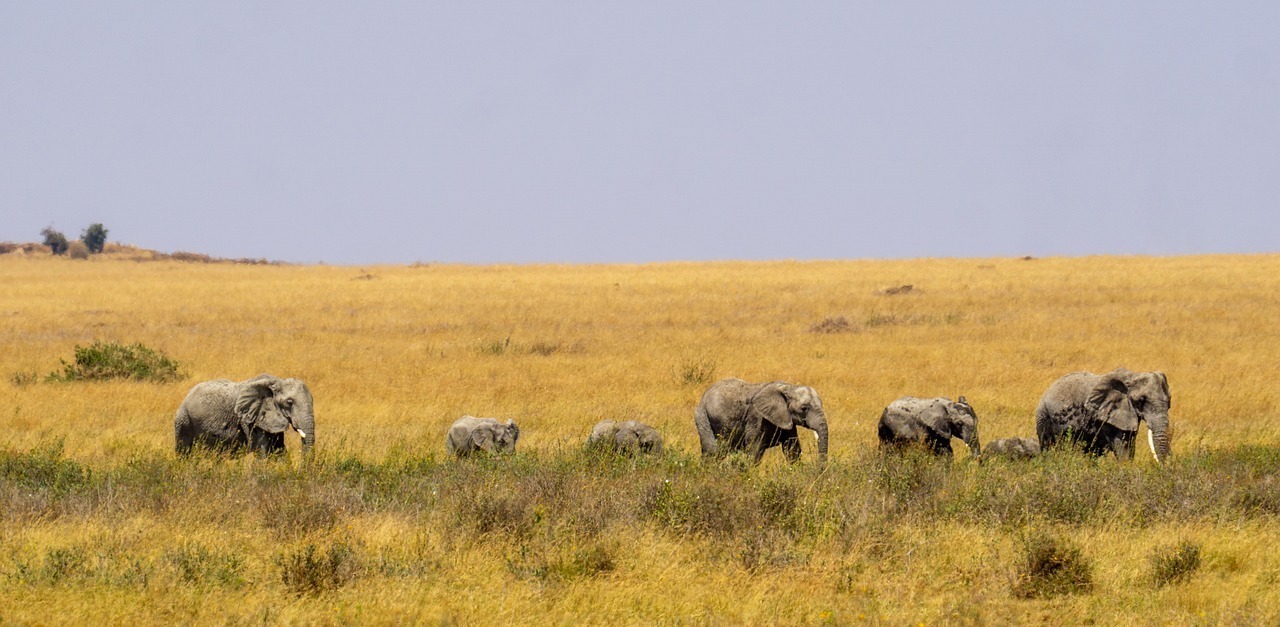 Multidimensional Tanzania (2)